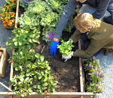 progettare orto giardino